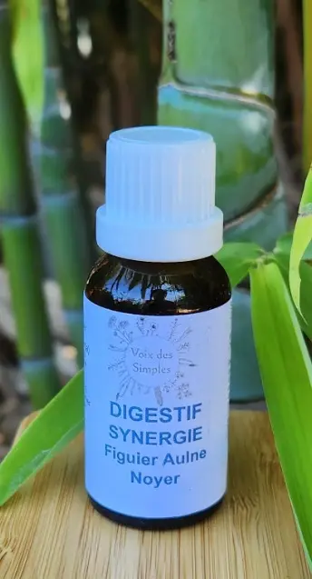 Digestif : Aulne, Figuier, Noyer