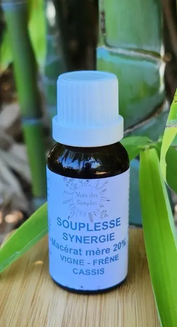 Souplesse : Vigne, Cassis, Frêne