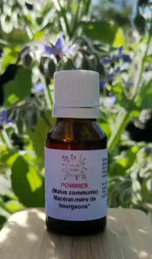 Pommier (Malusdomestica)