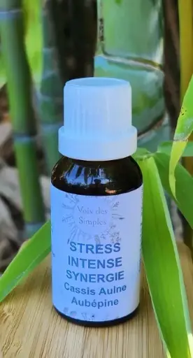Stress Intense : Cassissier, Aulne, Aubépine