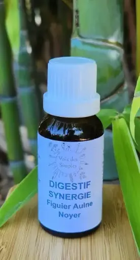 Digestif : Aulne, Figuier, Noyer