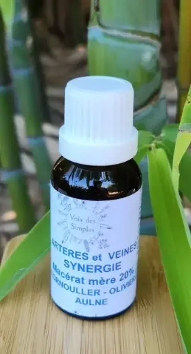 Veines et artères : Olivier, Aulne,Cornouiller
