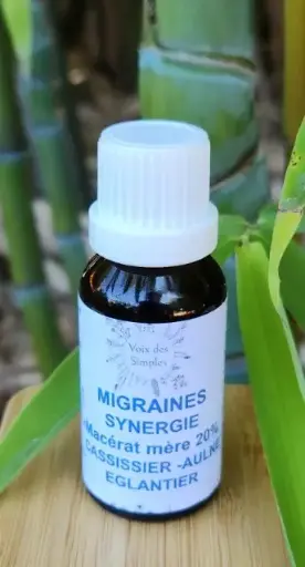 Migraines : Aulne, Cassissier, Églantier