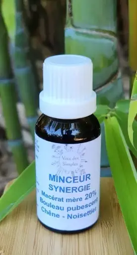 Minceur : Bouleau, Chêne, Noisetier