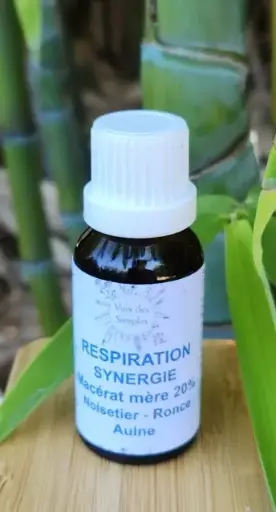Respiration : Ronce, Aulne, Noisetier