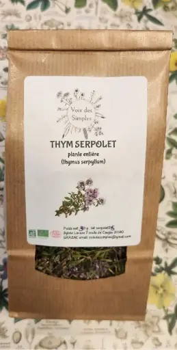 Thym Serpolet (Thymus Serpyllum)