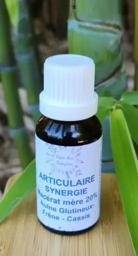 Articulaire : Aulne Glutineux, Frêne, Cassis