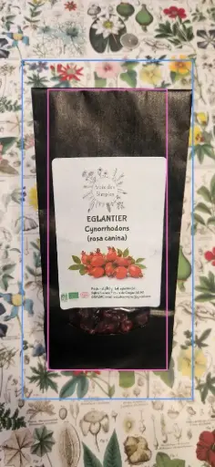 Cynorrhodon (Rosa canina)