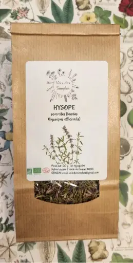 Hysope (Hyssopus officinalis)