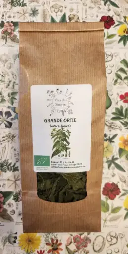 Ortie (Urtica dioica)