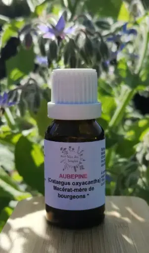 Aubépine (Crataegusmonogyna)